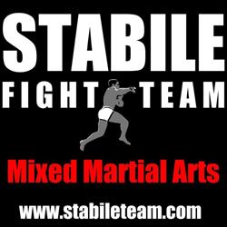 Stabile Fight Team