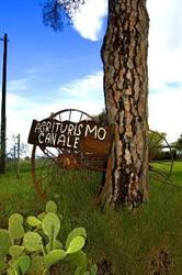Agriturismo Canale, Parco Naturale della Maremma