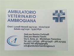Ambulatorio Veterinario Ambrogiana