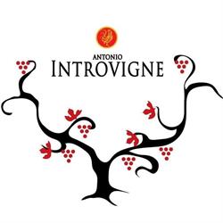 Società Agricola Antonio Introvigne