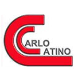 Controsoffitti e Soffitti Tesi Catino Carlo