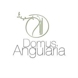 Domus Angularia B&B Anguillara Sabazia