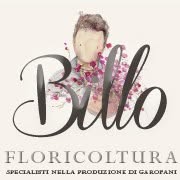 Floricoltura Billo Federico