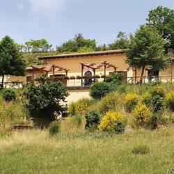 Il Vigneto Casa Vacanze