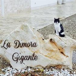 La Dimora Gigante