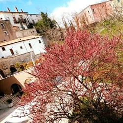 La Terrazza Caffè
