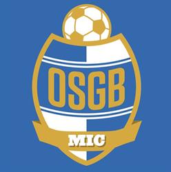 ASD OSGB MIC