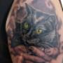 Caricato da visitatore il 10/08/2018 - gatto nero tattoo
