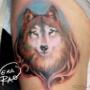 Caricato da visitatore il 10/08/2018 - lupo tattoo