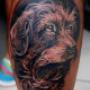Caricato da visitatore il 10/08/2018 - ritratto cane tattoo