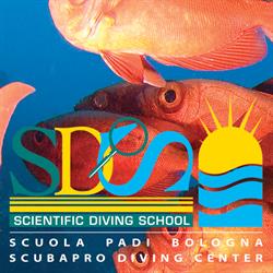 SDS - Scientific Diving School