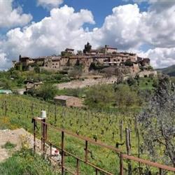 Tuscan Sunshine Tours