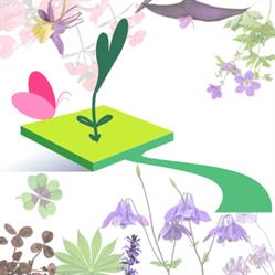 Un quadrato di giardino