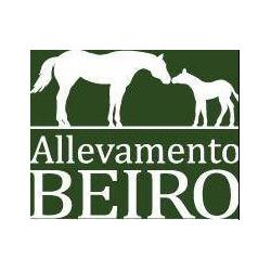 Allevamento Beiro