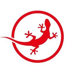 Comitato Territoriale Arcigay La Salamandra Mantova - ODV