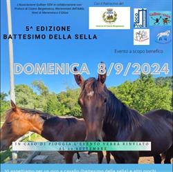 Associazione GULLIVER onlus