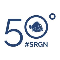 Sub Rimini Gian Neri