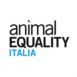 Animal Equality Italia