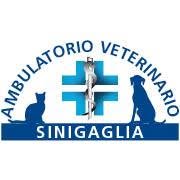 Ambulatorio Veterinario Sinigaglia