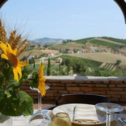 Fattoria Marchetti