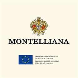 Cantina Montelliana e dei Colli Asolani
