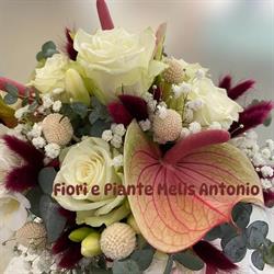 Fiori e Piante di Antonio Melis