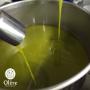 olio olere in frantoio