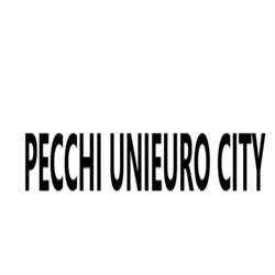Pecchi Unieuro City