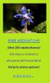 Oltre 200 varietà di erbe Aromatiche