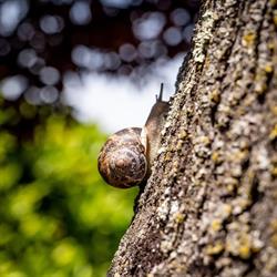 SONIA URSINI PHOTOGRAPHER