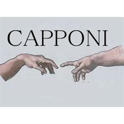 Onoranze Funebri Amiconi Capponi