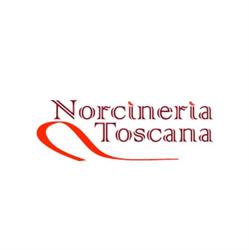 Norcineria Toscana s.r.l