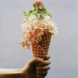 Gelateria Monginevro