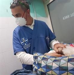 Ambulatorio Veterinario