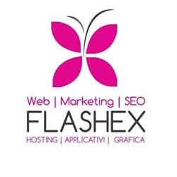 Web Agency Flashex Design