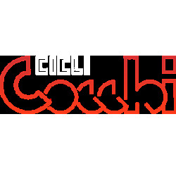 Cicli  Cocchi