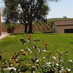 Agriturismo Severini