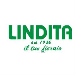 Lindita di Bernocchi Jurij