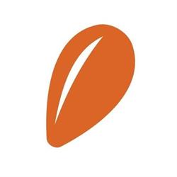 Esserci - Societa' Cooperativa Sociale