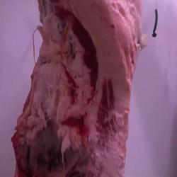 Dimensione Carne srl