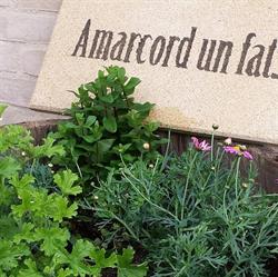 Amarcord un fat - B B Ravenna