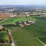 Dolcetto Cantina Bulgarini