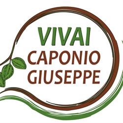 Vivai Caponio Giuseppe