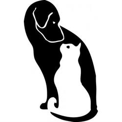 Clinica Veterinaria "Città Di Suzzara" Dir.San Dott. Gualandi Paolo