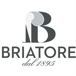 Briatore 1895
