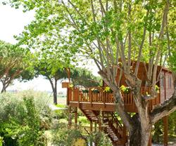 Agriturismo La Nuova Fattoria