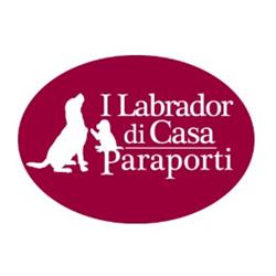 I Labrador di Casa Paraporti