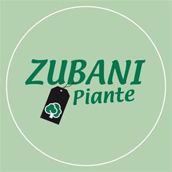 Zubani Piante