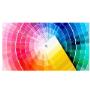 Palette Colori