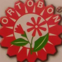 Ortobon di Bon Vania & C. sas